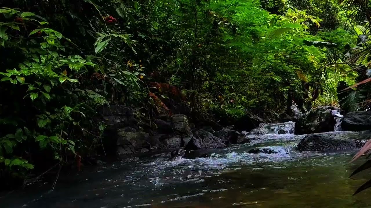 This Forest Stream Will Knock You Out in Minutes 🌊💤 Powerful ASMR