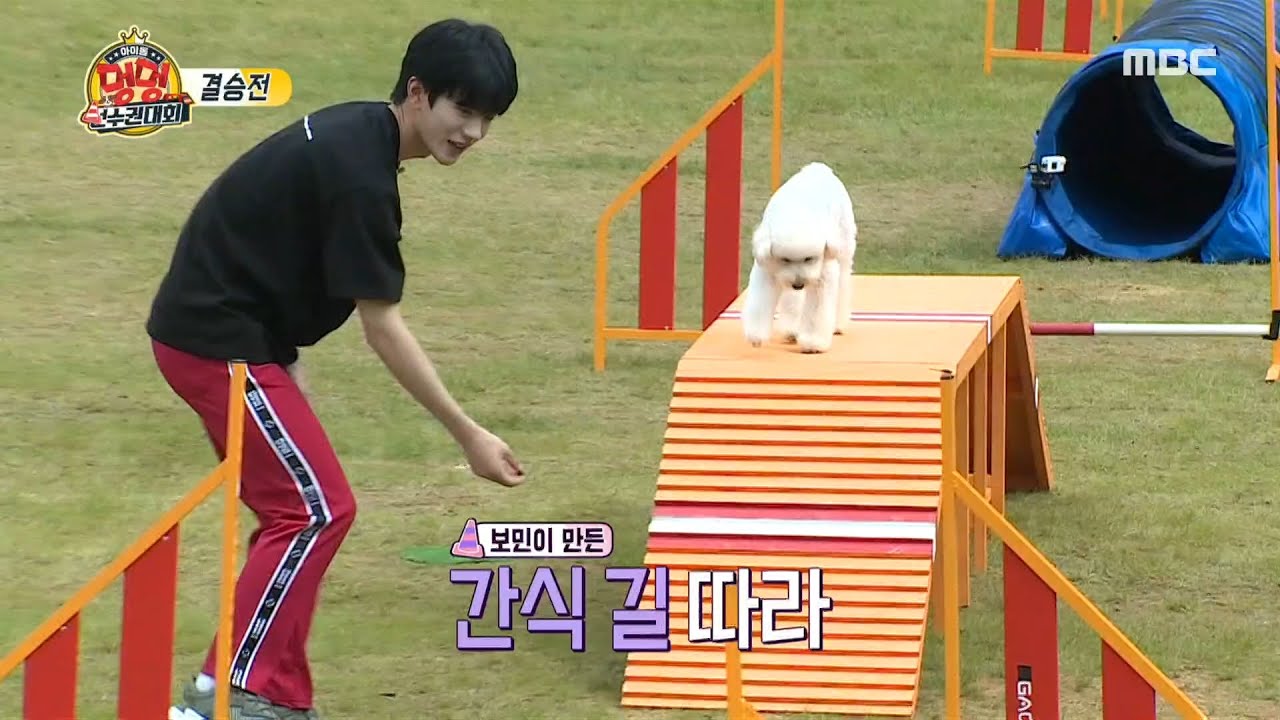 [2020 아이돌 멍멍 선수권 대회] [결승전] 골든차일드 보민 X 조이의 환상의 호흡! MBC 201002 방송