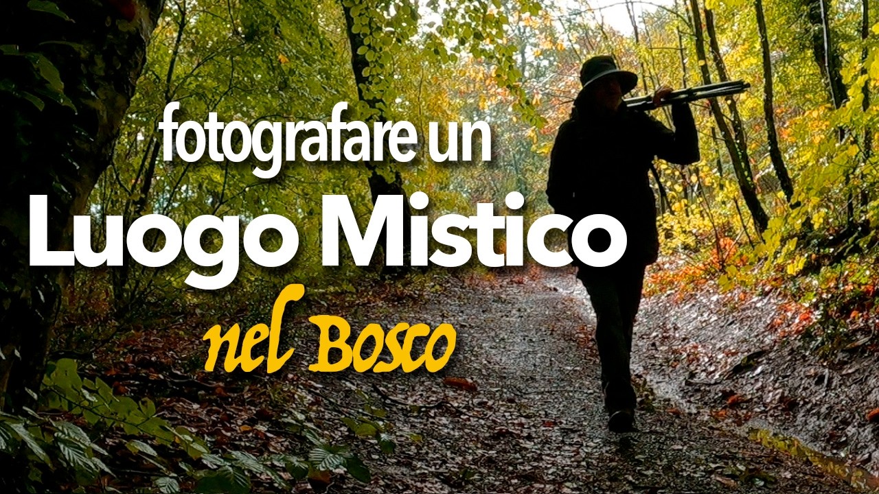 Fotografare l'eremo di San Girolamo, in un bosco mistico