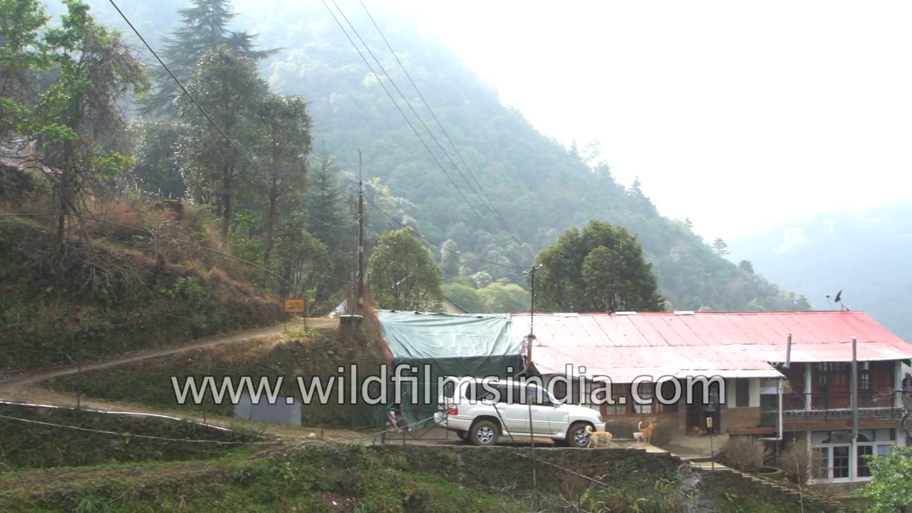Pari Tibba valley green houses for floriculture, ITM DRDO on the ridges of Landour