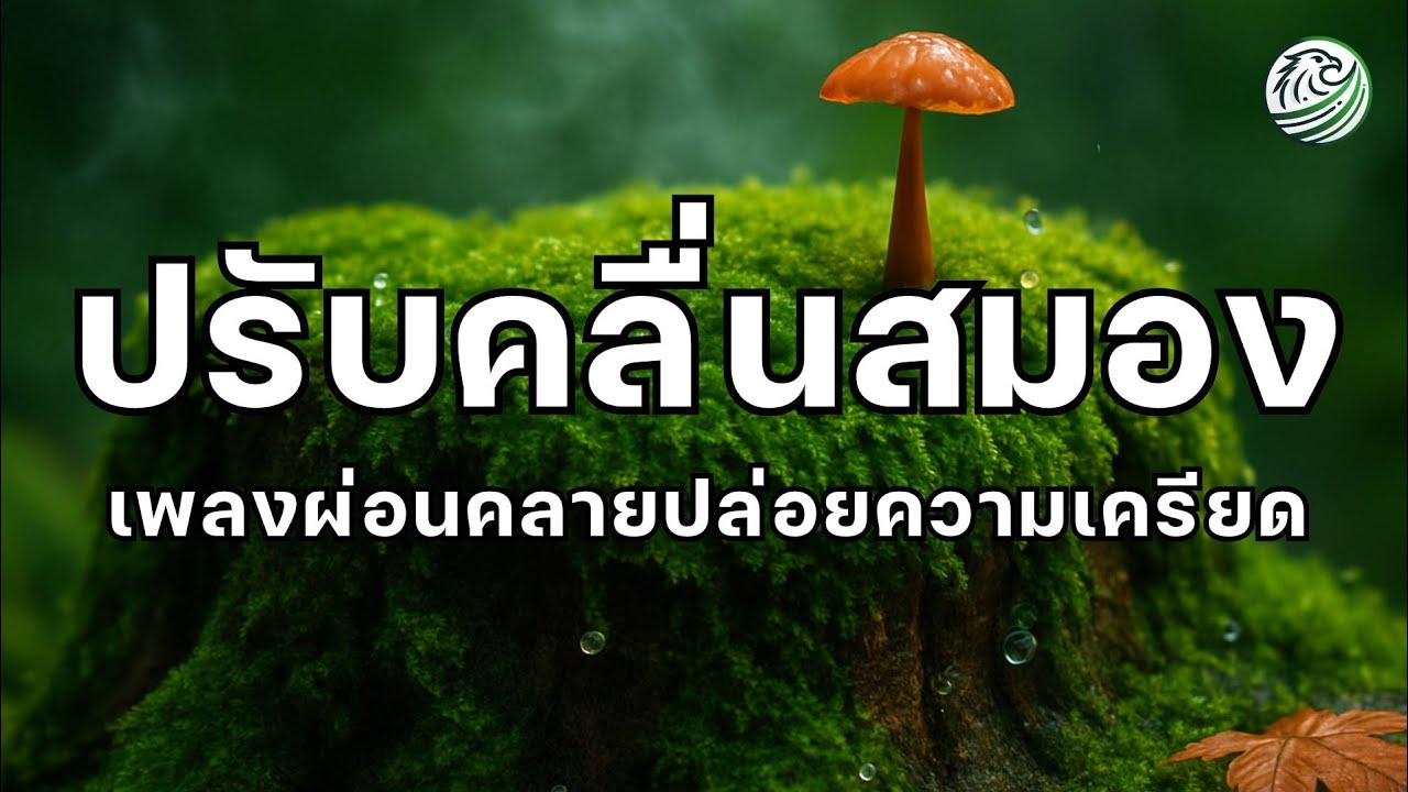 เพลงปรับคลื่นสมอง ปรับคลื่นสมองให้ช้าลง ดนตรีบำบัด เพลงผ่อนคลาย เพลงบำบัดความเครียด เพลงฟื้นฟูสมอง 