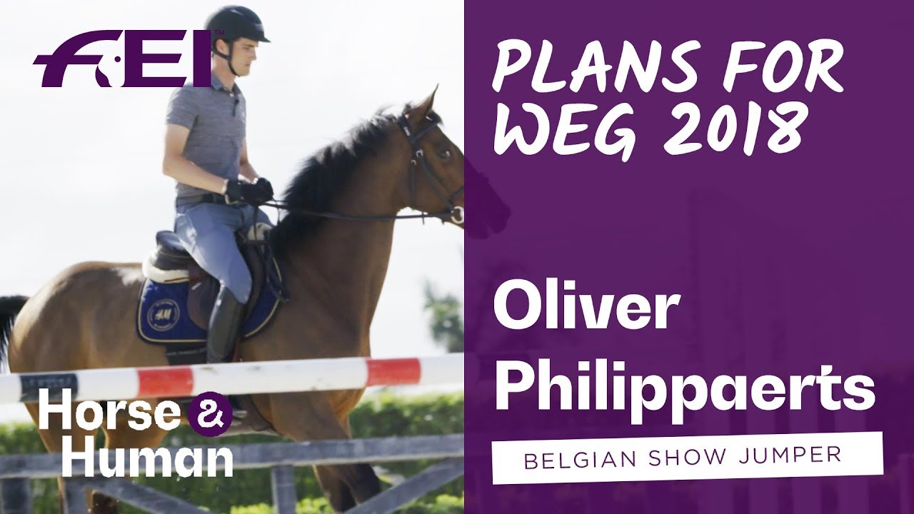 Olivier Philippaert's plans for WEG 2018 | Horse & Human