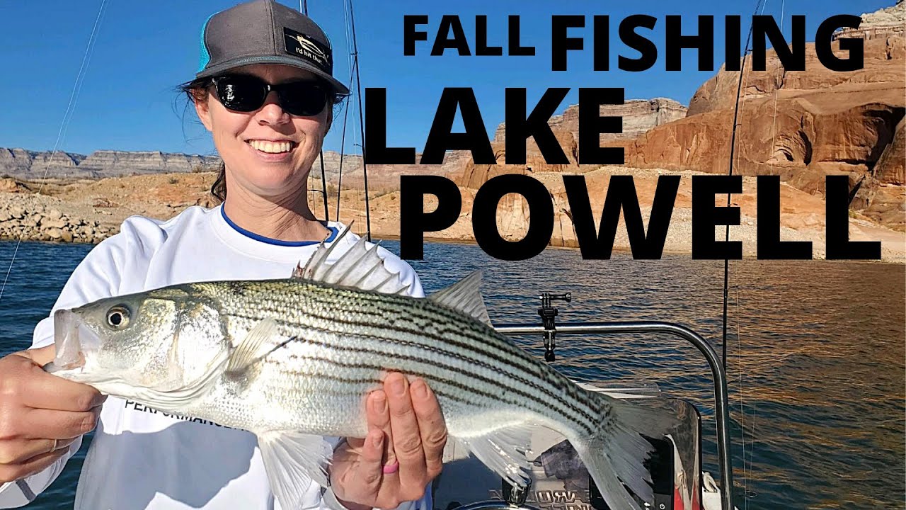 Fishing Lake Powell, Fall Striper Action (Early November)