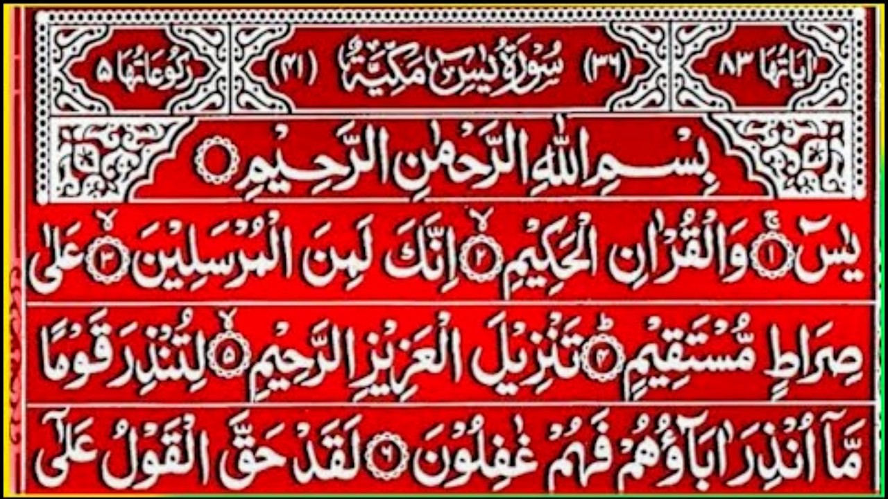 Surah Yaseen Tilawat | Listen with Tawajjuh for Spiritual Peace