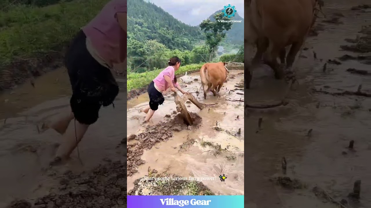 These Farm Girls are STRONGER Than You! 💪😂 Plowing Like Absolute Legends in the Mud! #farming