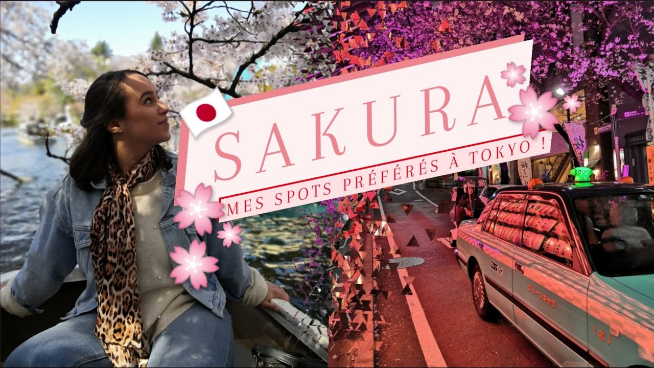 La magie des sakura à Tokyo - VLOG JAPON