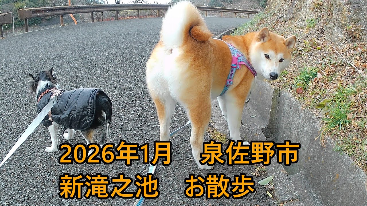 第004話 新滝之池 散歩
