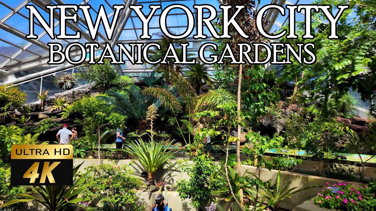 🌿🌸✨ FULL TOUR of BROOKLYN BOTANIC GARDEN 🌺 | Nature Escape in NYC 🏙️ 🌞🧘&zwj;♀️