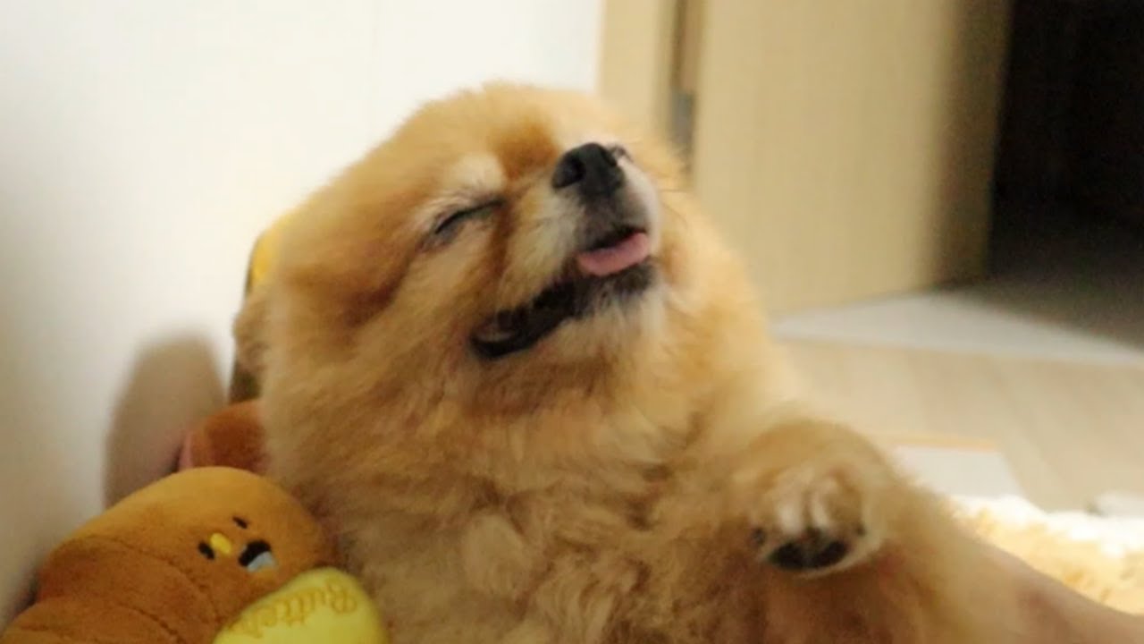 같이 자야 되는 엄마가 집에 늦게 왔어요