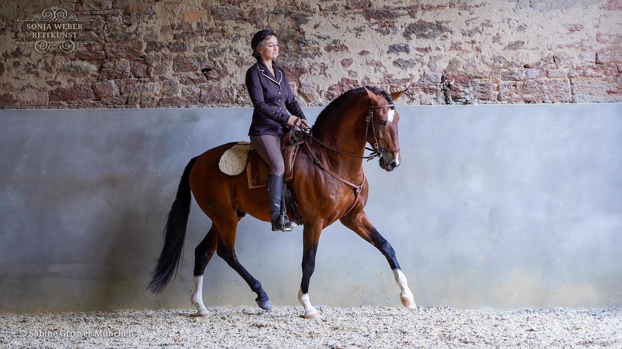 Sonja Weber Reitkunst Filme  
