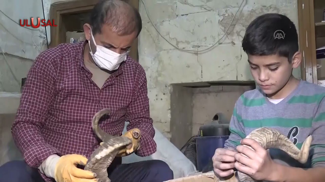 Mahmut Çaycı manda, koç ve sığır boynuzundan tarak üretiyor