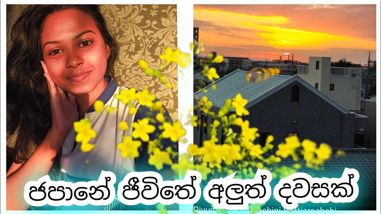 VLOG 02 අලුත් ජීවිතේ අලුත් දවස්🥹 ජපන් ඉස්කෝලේ  02 වෙනි දවස