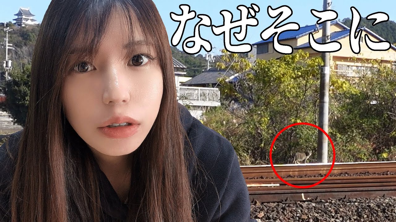 【モトブログ】撮影中線路に侵入したものを見てそれどころではなくなる女【Sportsbike Yamaha R25 】