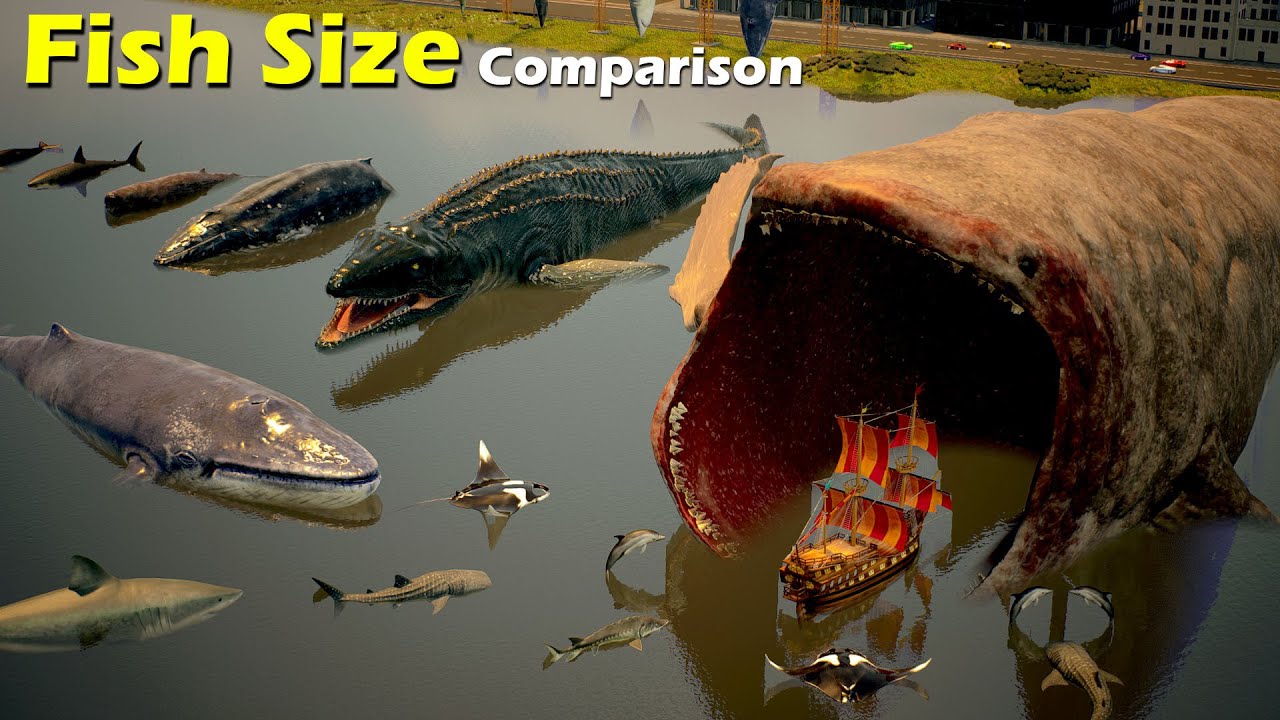 Size Comparison : Fish size  | mammal | Sea Creature | fictional | bloop |whale | Mosasaurus