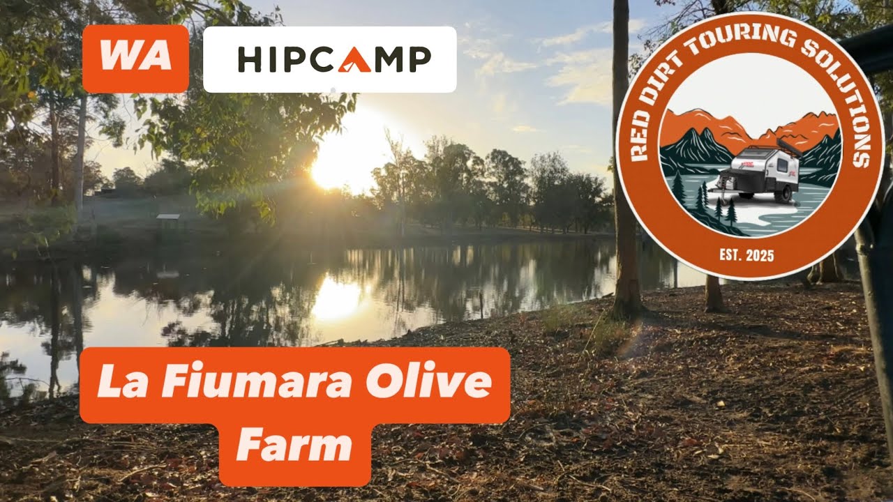 Hidden Gem in WA: La Fiumara Olive Farm Hipcamp