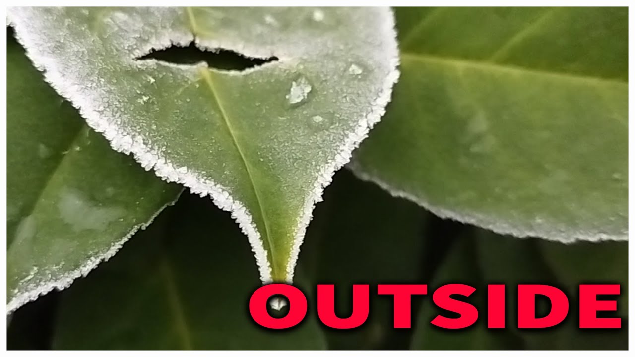 I played a game called Outside