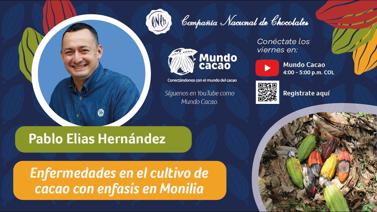 Charlas virtuales: Enfermedades en el cultivo de cacao con énfasis en Monilia