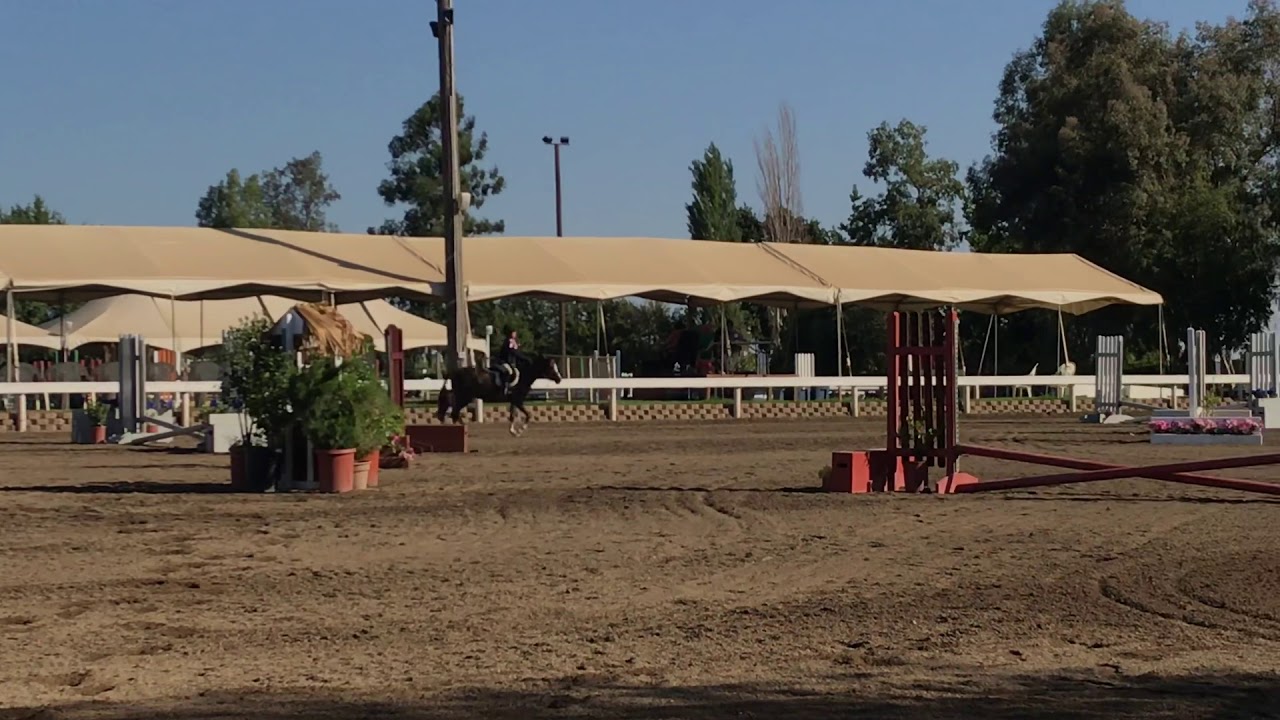 Telynau Arabesque and Izzy Scrima ~ Champion Cross Rail Hunters @ Almaden Brookside