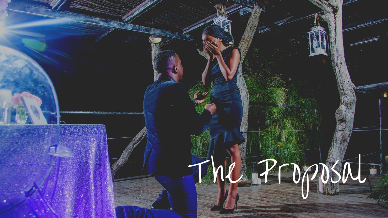 The Proposal (Zim Proposal)