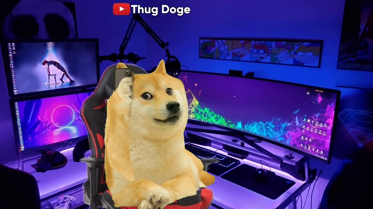 fraud call - 9 | Thug doge