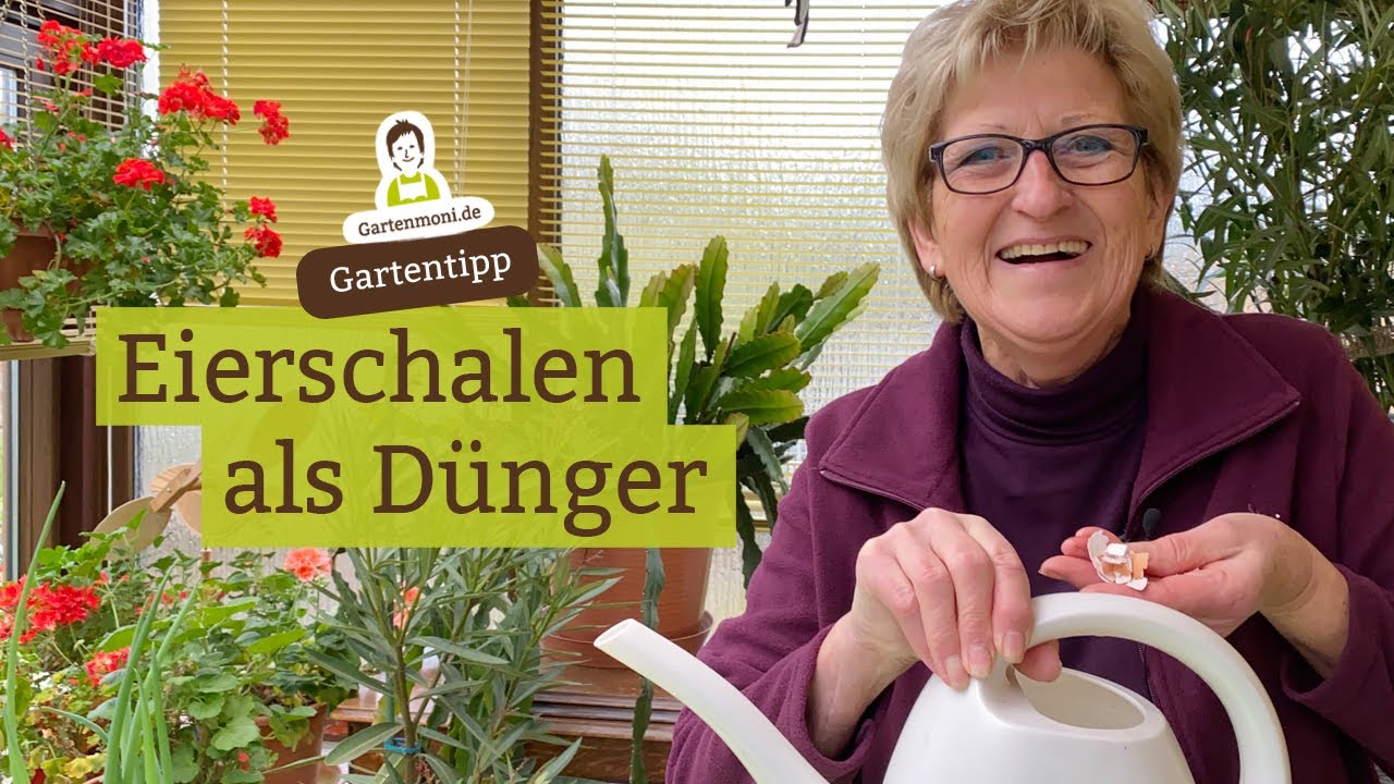 Eierschalen als D&uuml;nger - Getrocknete Eierschalen als D&uuml;nger verwenden | D&uuml;ngen ohne Chemie