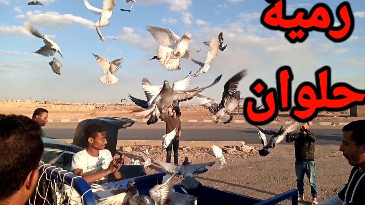 اجمد رميه حمام في حلوان 