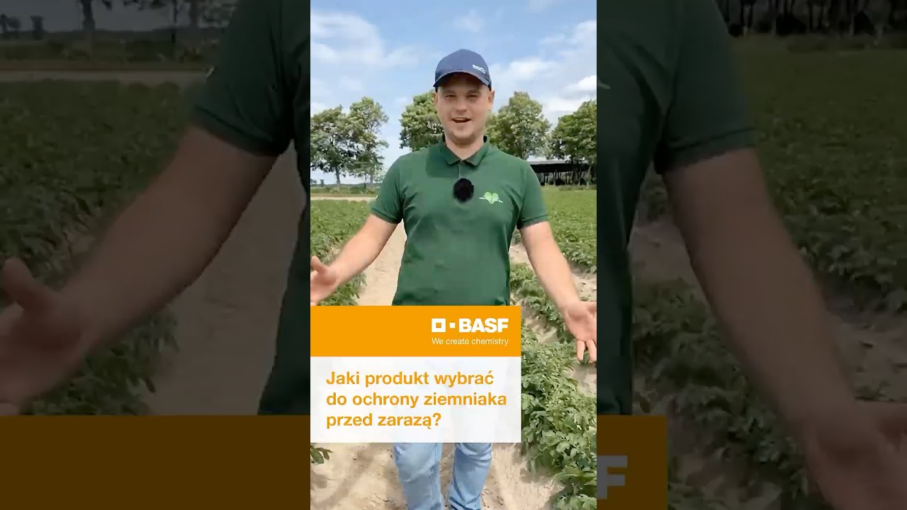 Jaki produkt wybrać do ochrony ziemniaka przed zarazą? #basfagro #basf #agro