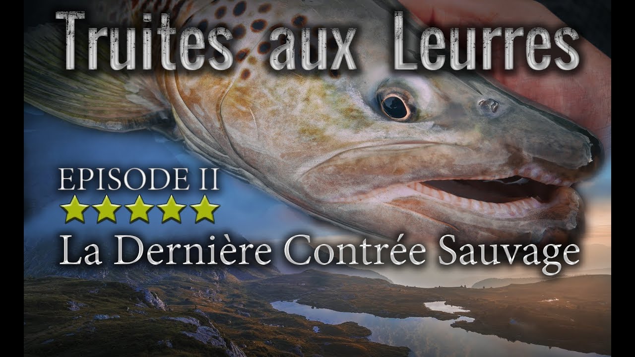 TRUITE : Truites aux leurres - La Dernière Contrée Sauvage - Petites et grosses truites de rivières.