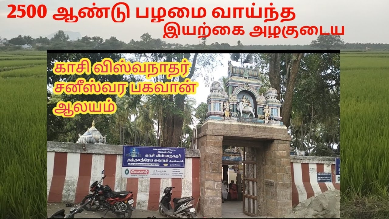 Kaasi viswanathar aalayam / saneeswarar / udumalpet / kumaralingam #udumalpet @justatastetamil