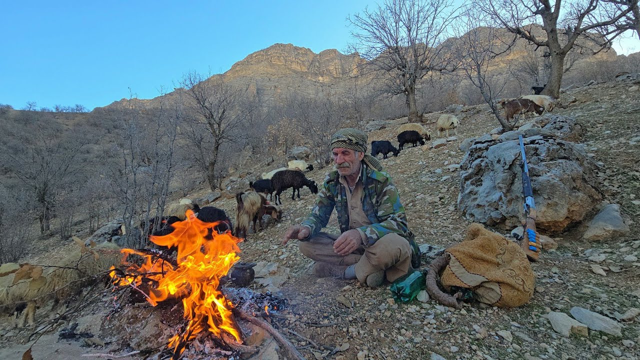 🐐Nomadic life in the heart of Zagros: Adventure with a flock of sheep in the mountains
