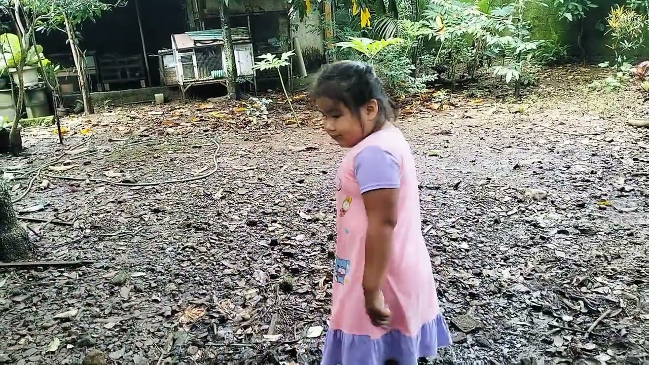 Lihat kebon