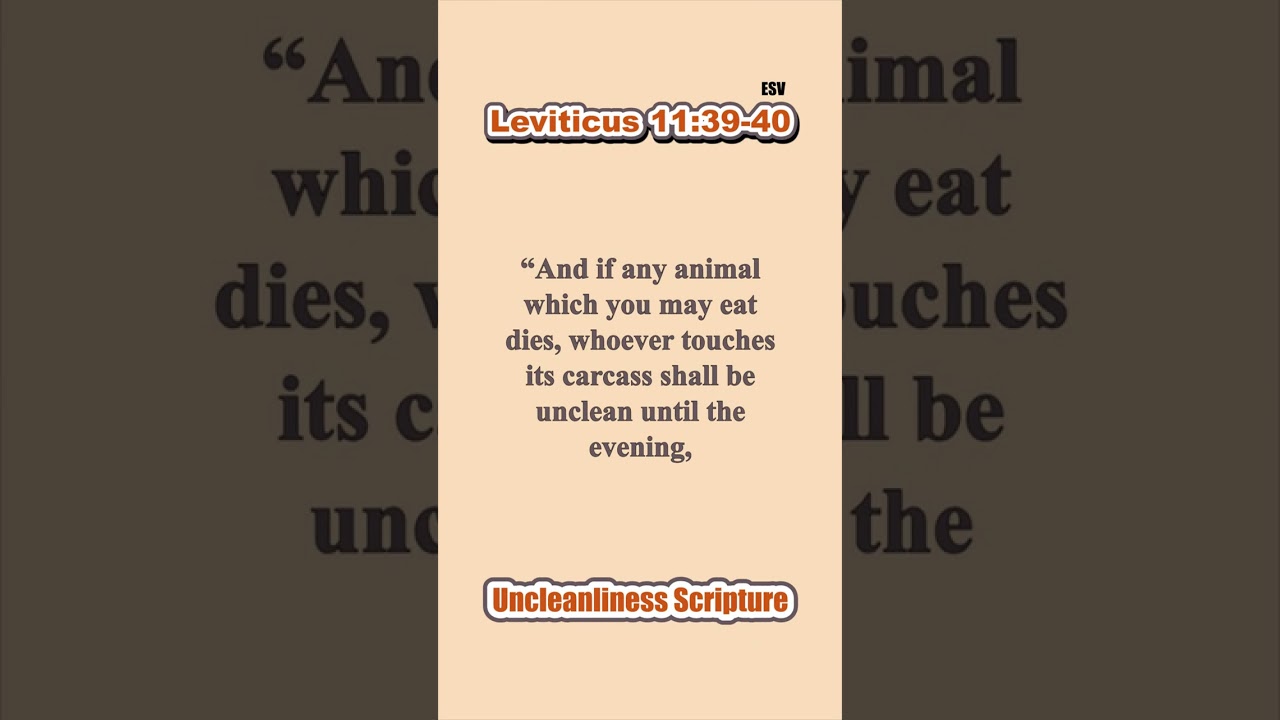 Uncleanliness - whoever eats of its carcass shall wash his clothes and be unclean until the evening