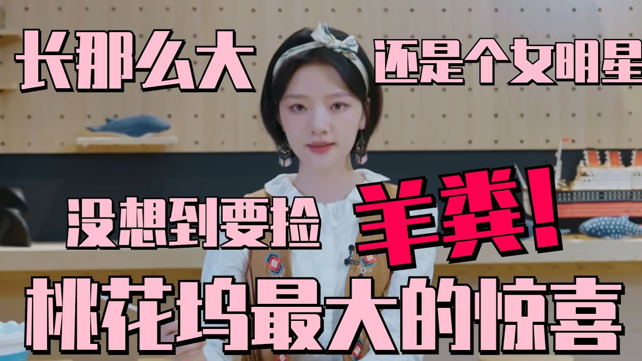 #任敏 分享加入桃花坞的感动：从来没想到竟然要靠捡屎来赚钱 #五十公里桃花坞s3