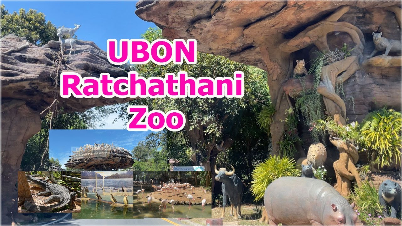 เที่ยวสวนสัตว์ อุบลราชธานี |UBON Ratchathani Zoo | UBON  ZOO