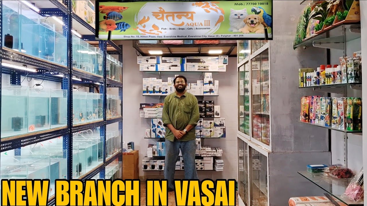 Chaitanya Aqua New Branch Opening 🎊 | Premium Exotic Fish & Aquarium Store
