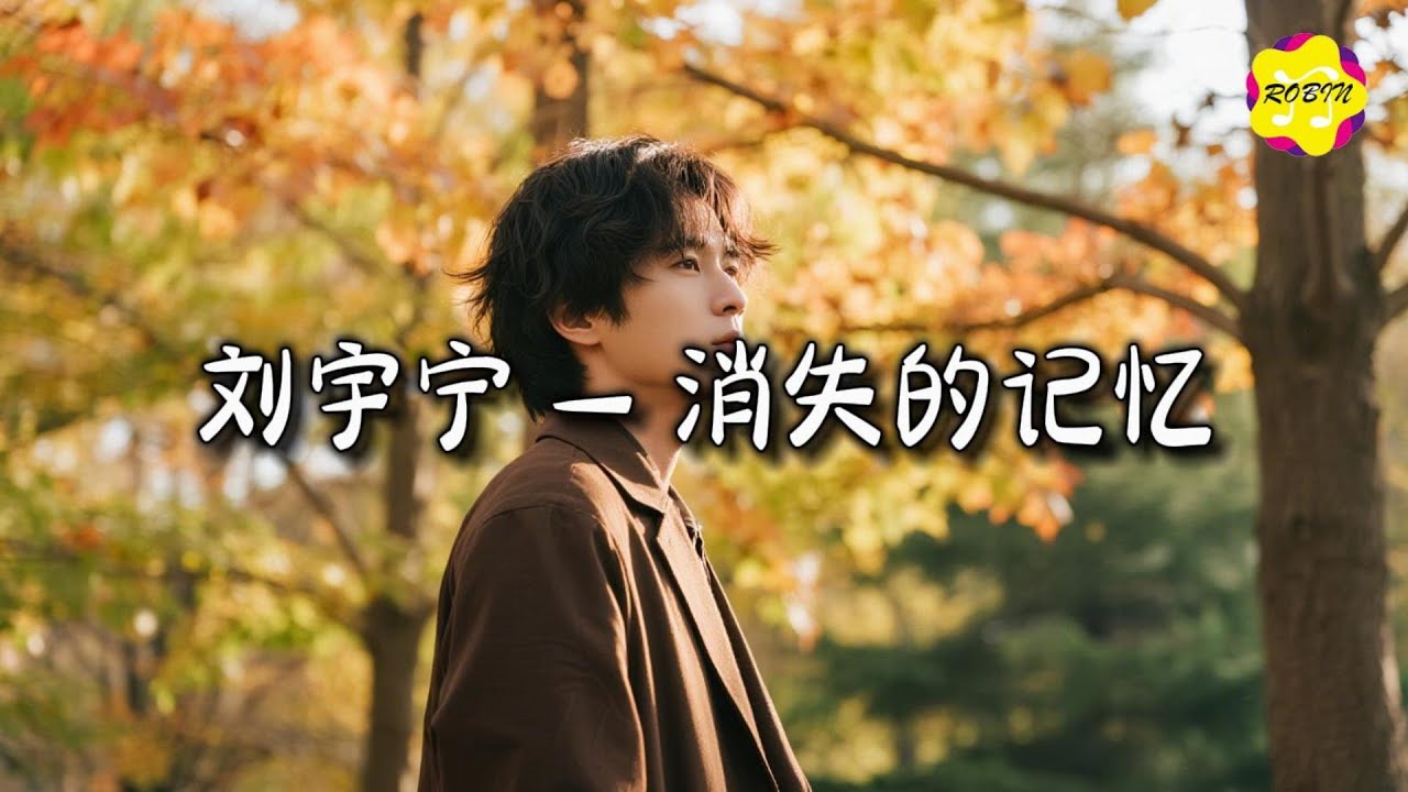 刘宇宁 - 消失的记忆 (《轻年》电视剧片尾主题曲)『最甜的糖果是金色的巧克力，多希望月光宝盒带我回到过去。』【动态歌词MV】