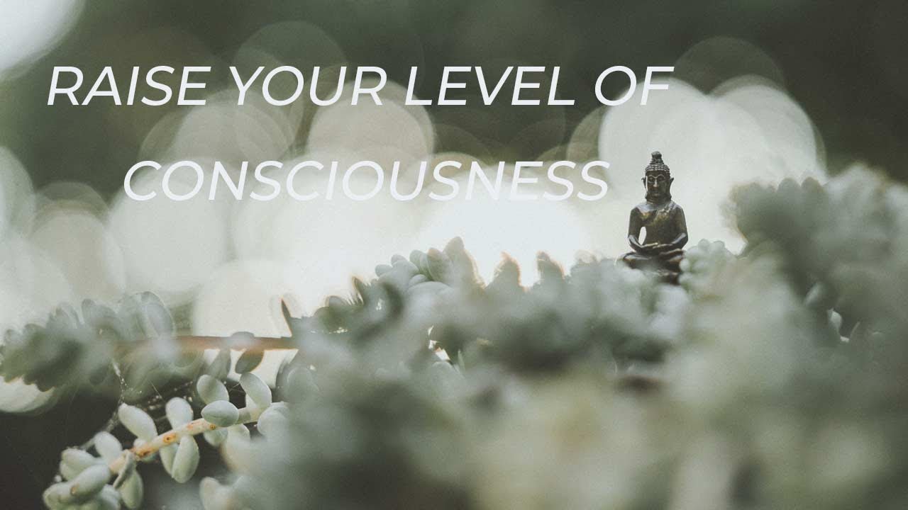 Developing Consciousness