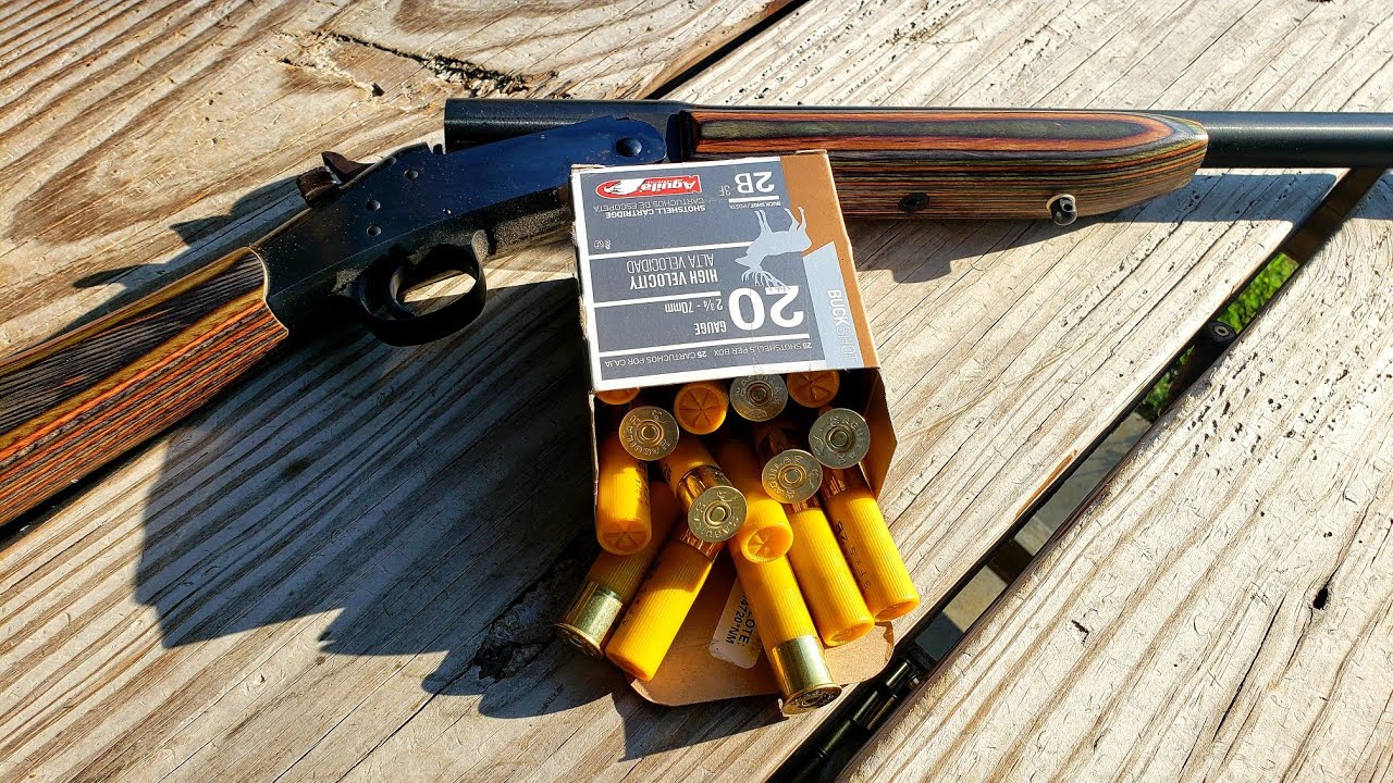 Обзор и стрельба из Aguila 20 Gauge 2 Buck 2B-3F #2 Buckshot