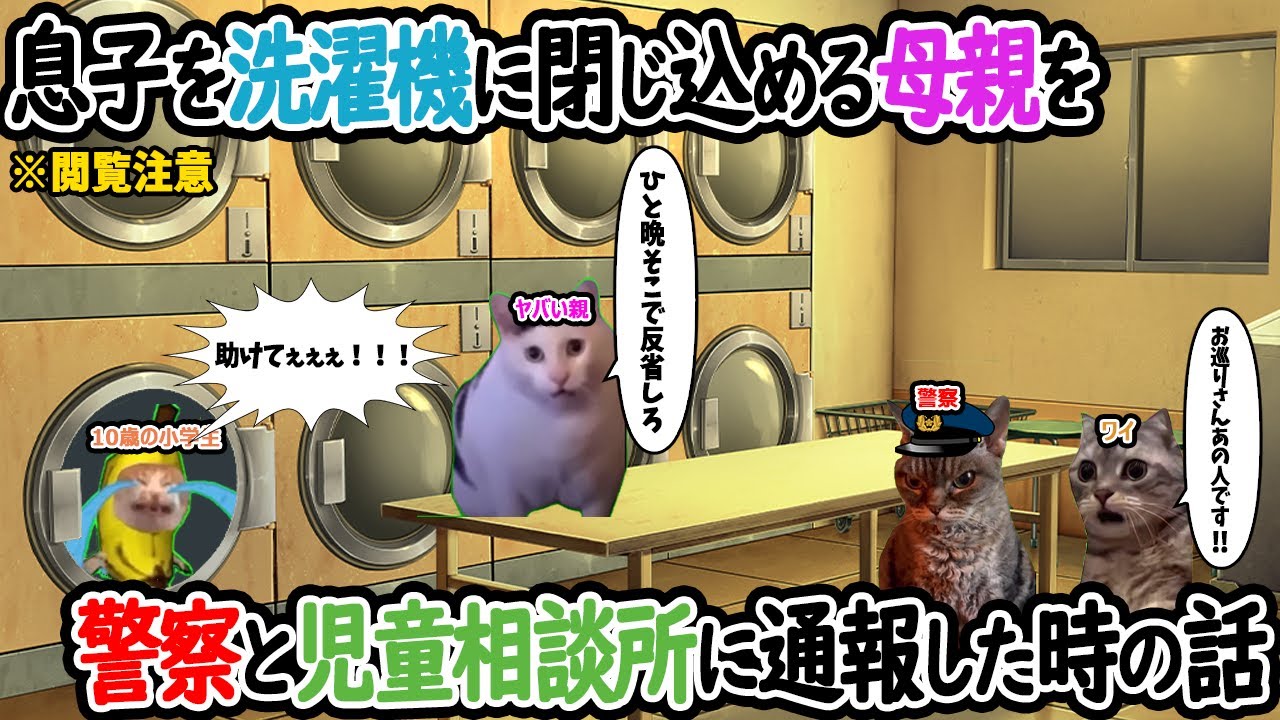 【閲覧注意】【ほぼ実話】息子を洗濯機に閉じ込める母親を警察と児童相談所に通報した時の話【猫ミーム】【猫マニ】