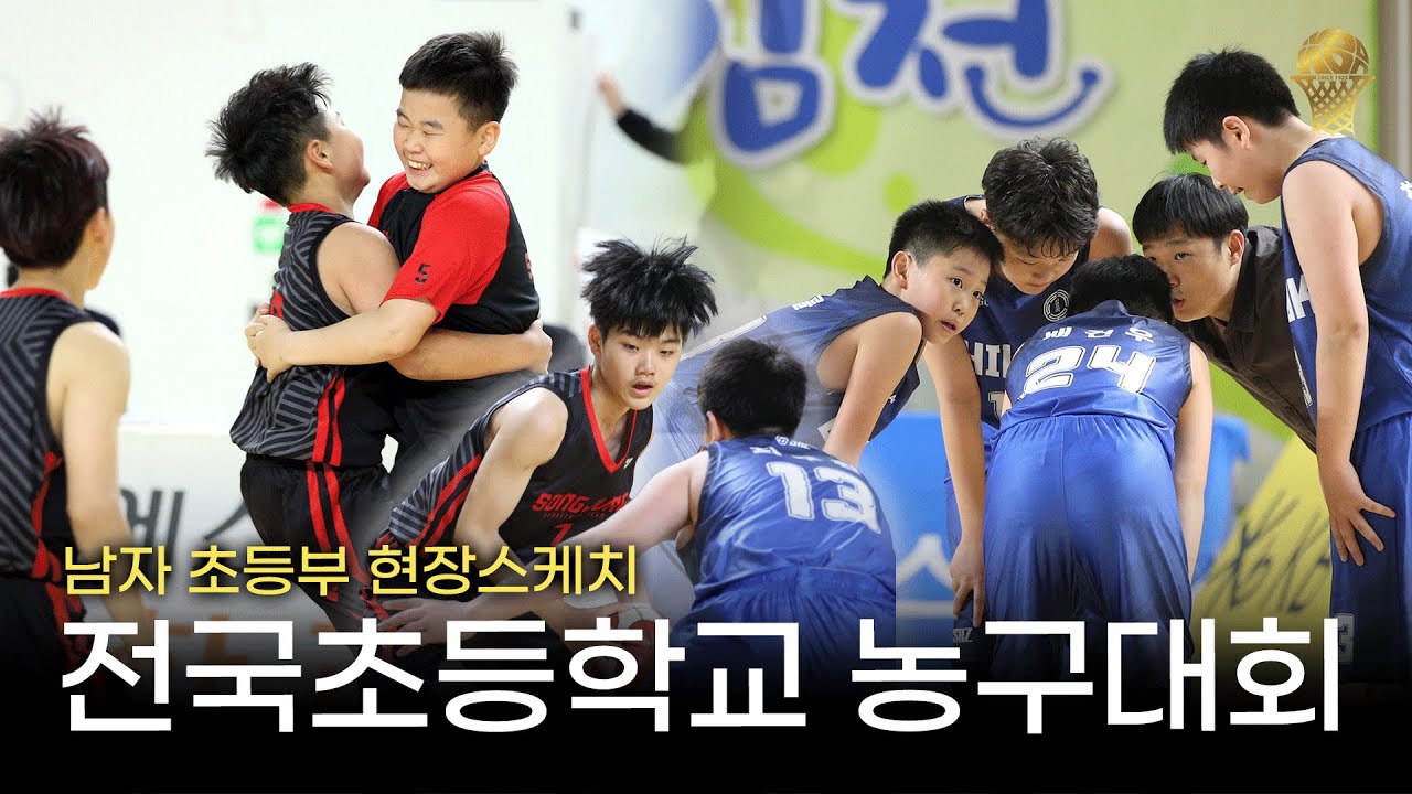 초등학생 플레이 맞아? 😳 미리보는 한국농구의 유망주들 ✨ ｜제22회 전국초등학교 농구대회