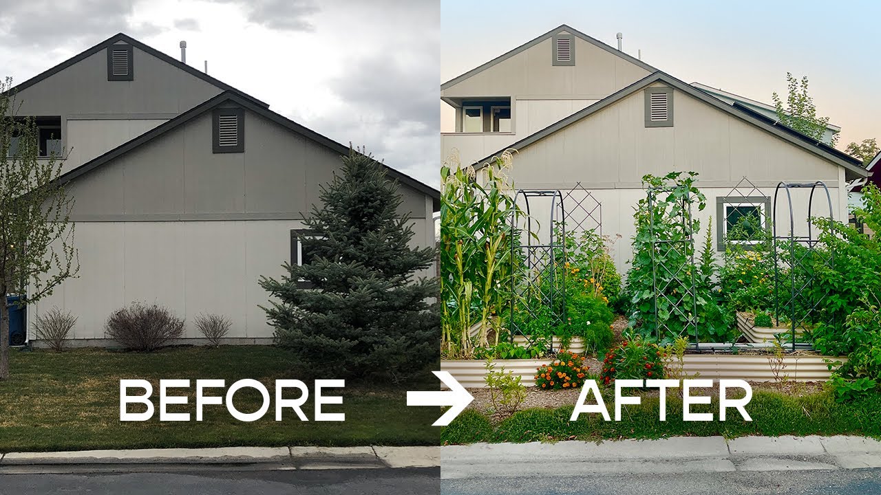 How I turned my front lawn into a garden (even with an HOA!)