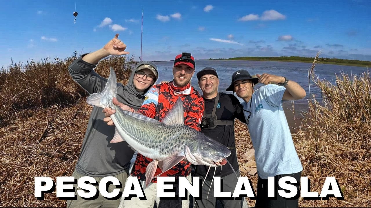 PESCAMOS CON PESCA URBANA, NICO REYNOSO Y PESCA DE SEBAS 🎣 LOS POZOS M&Aacute;S PROFUNDOS🔥PESCA Y COCINA‼️