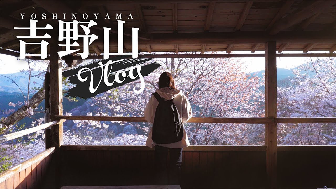 【奈良Vlog】インドア夫婦が週末に早起きして、満開の吉野山の桜と朝日を見てきました。【お花見デート】奈良吉野山 | 桜 &times; 朝日 | 花より団子 | 20代夫婦Vlog