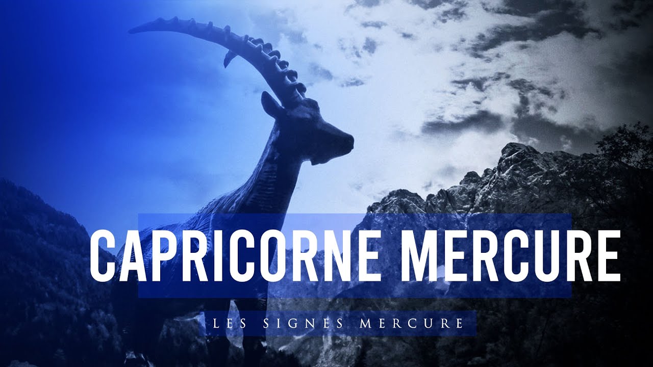 Capricorne Mercure : Le Gestionnaire