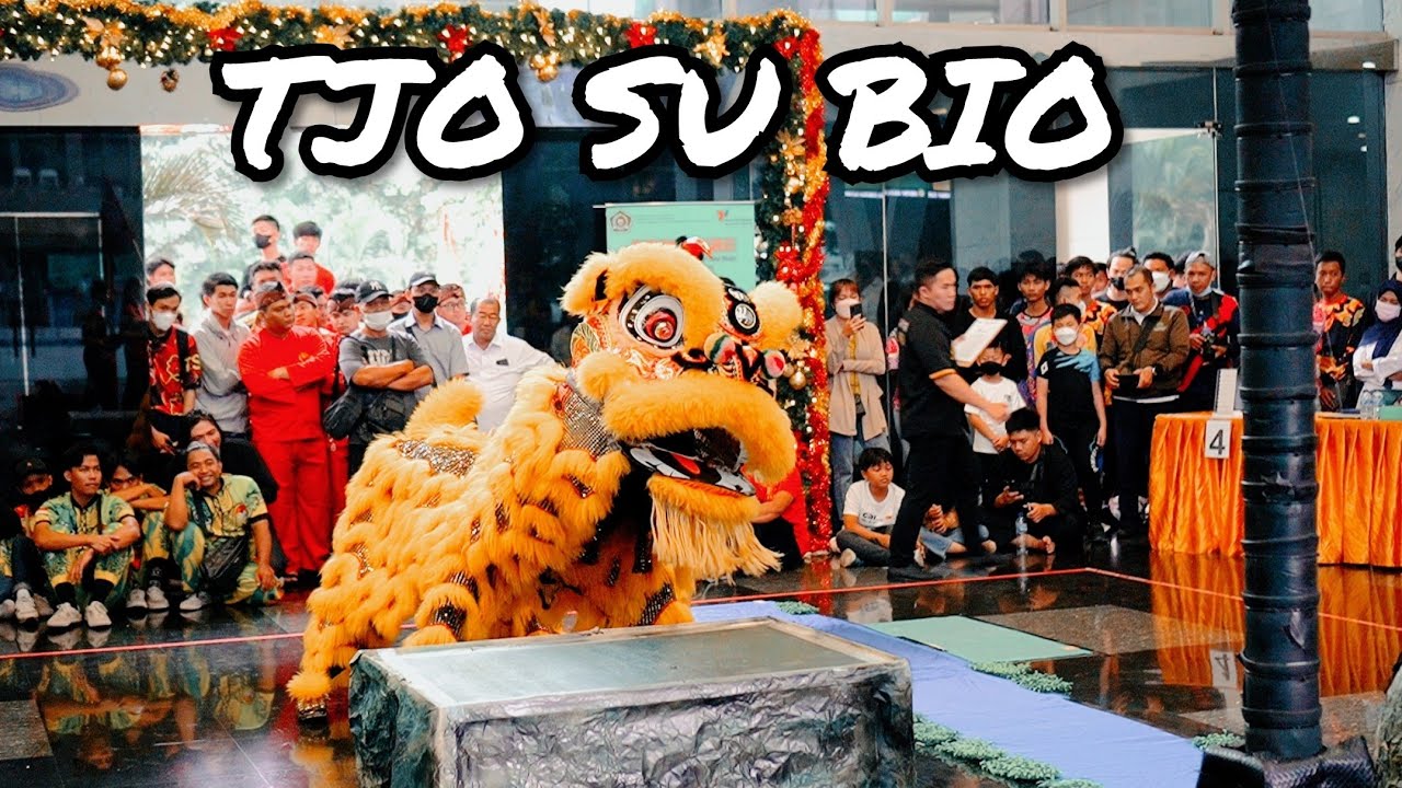 SINGA JANTAN GAGAH BERANI MELAWAN LIPAN | TJO SU BIO | LOMBA BARONGSAI KEMENTERIAN AGAMA