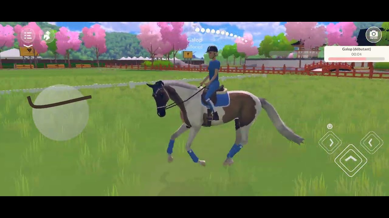 nouvelle vidéo etg je monte mes poney