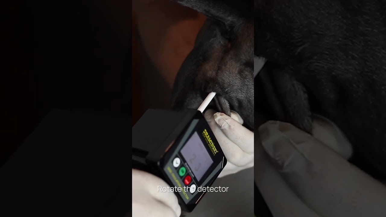 Dog Ovulation Detector DOD2 – How to use