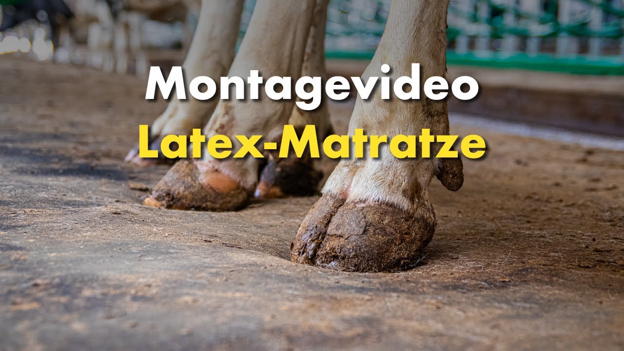 Montagevideo: Latex-Matratze für Liegeboxen – Schritt-für-Schritt erklärt