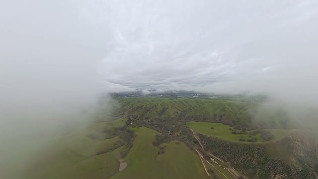 Fog Flying