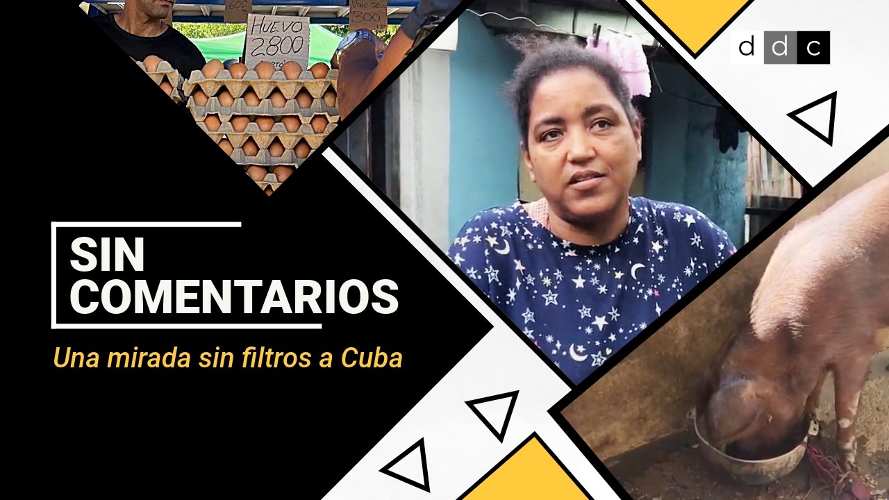 Cerdos en apartamentos, comida carísima y brutal represión de un motín en prisión